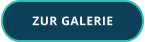 ZUR GALERIE