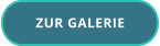 ZUR GALERIE