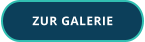 ZUR GALERIE