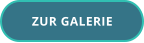 ZUR GALERIE
